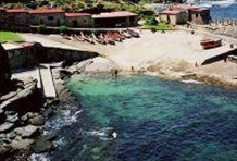 Full Day Hermanus Whale Watching Tour